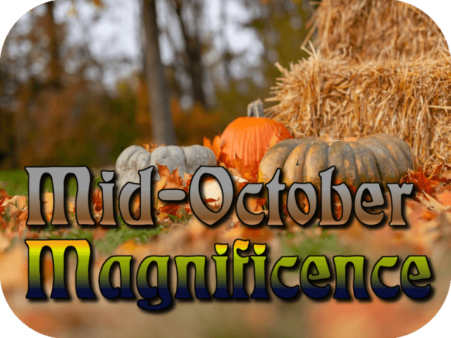 mid-october-magnificence