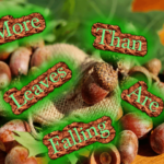 more-than-leaves-are-falling