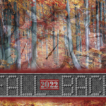 fall-back-2022