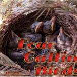 four-calling-birds-2022
