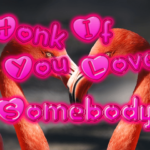 honk-if-you-love-somebody