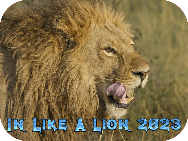 in-like-a-lion-2023