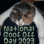 national-goof-off-day-2023