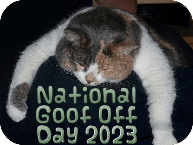 national-goof-off-day-2023