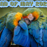 end-of-may-2023
