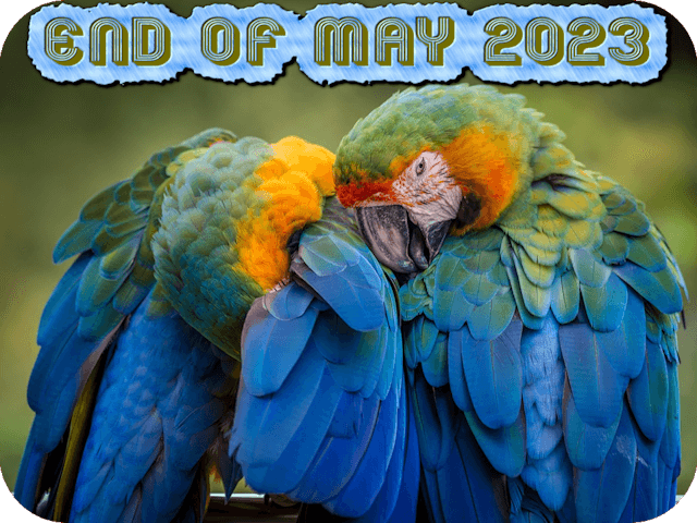 end-of-may-2023