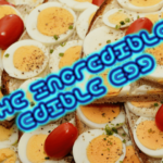 the-incredible-edible-egg