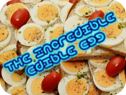 The Incredible Edible Egg | Rob Knowlan