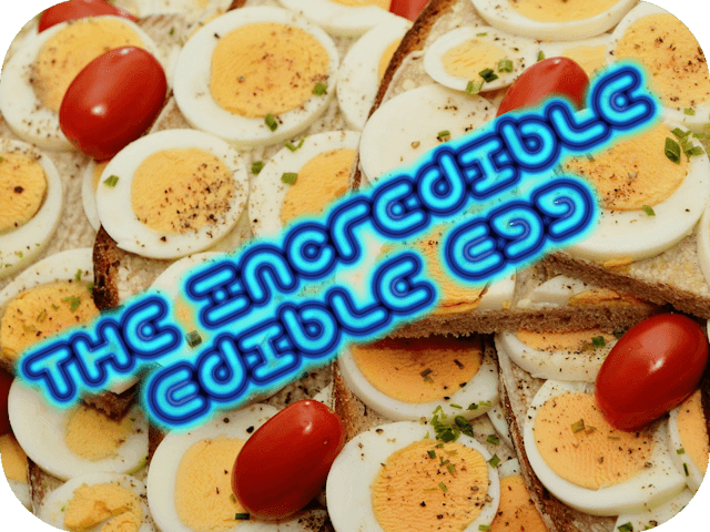 the-incredible-edible-egg