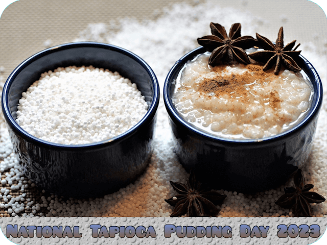 national-tapioca-pudding-day-2023