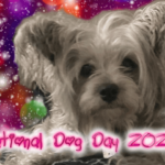 national-dog-day-2023