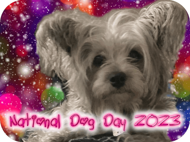 national-dog-day-2023