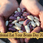 national-eat-your-beans-day-2024