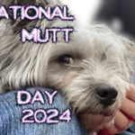 national-mutt-day-2024