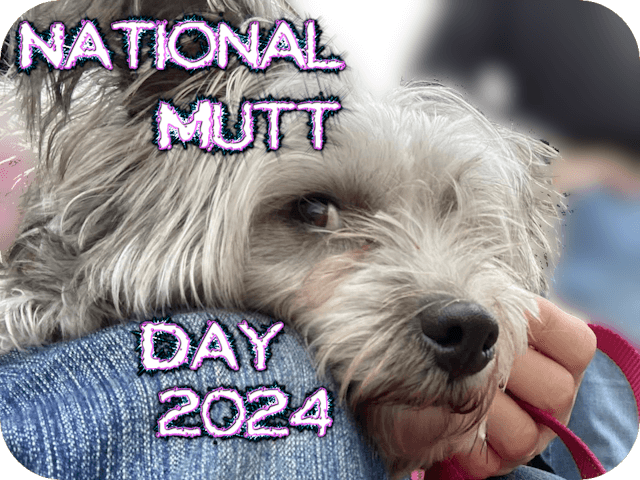 national-mutt-day-2024