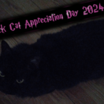 black-cat-appreciation-day-2024