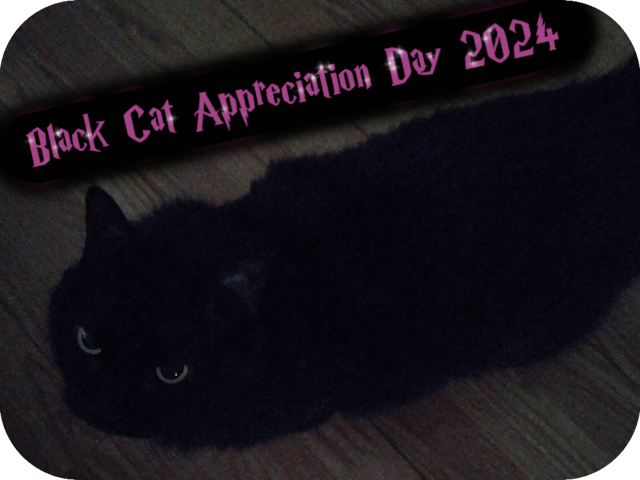 black-cat-appreciation-day-2024