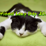 national-lazy-day-2024