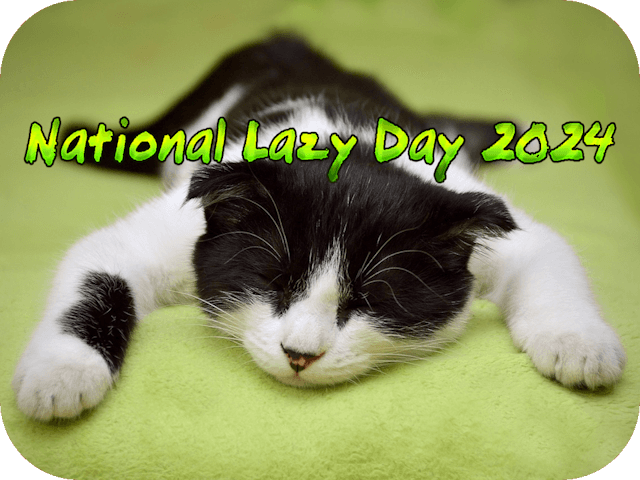 national-lazy-day-2024