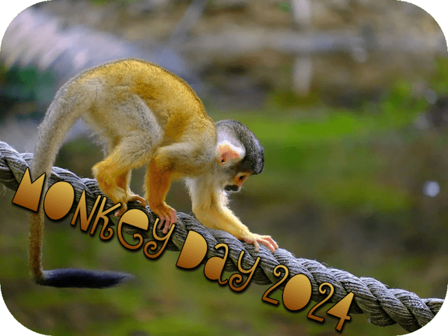 monkey-day-2024