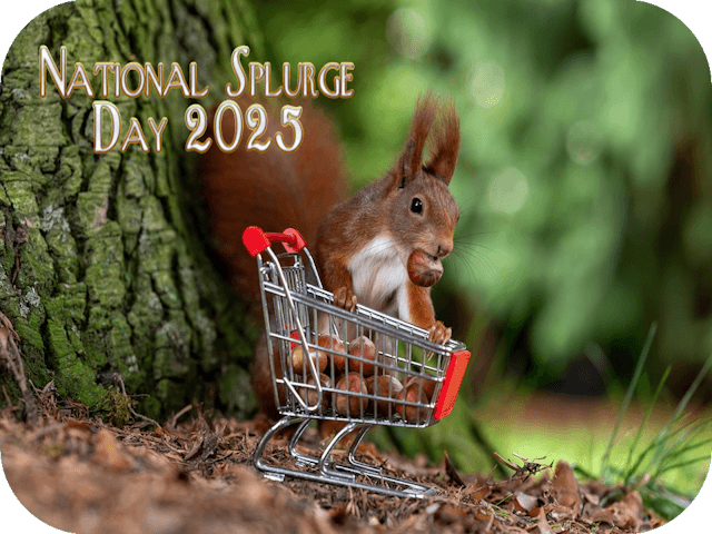 national-splurge-day-2025