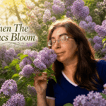 Kelly in a blue shirt gently smelling blooming lilacs in warm spring sunlight, with the text “When The Lilacs Bloom.”
