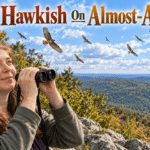 Kelly watches migrating hawks and a bald eagle at Hawk Mountain.